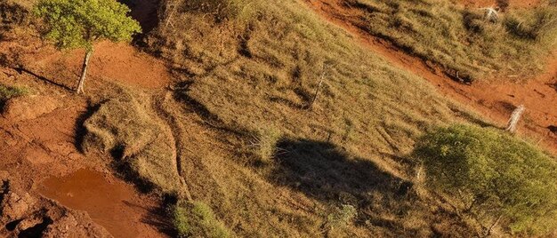 Foto vista aerea di un elefante in un pozzo d'acqua nella riserva naturale di balule