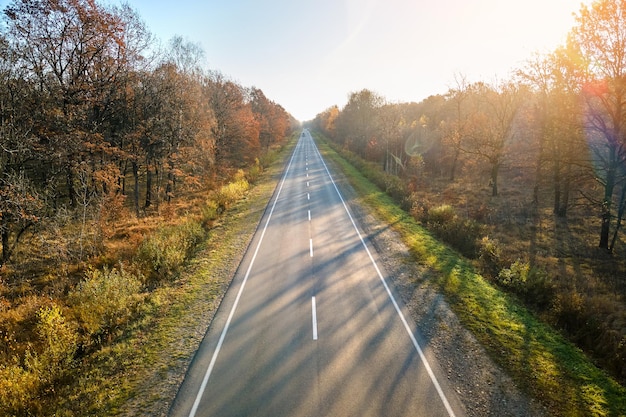 Aerial view of empty intercity road between autumn woods at sunset. Top view from drone of highway in evening.