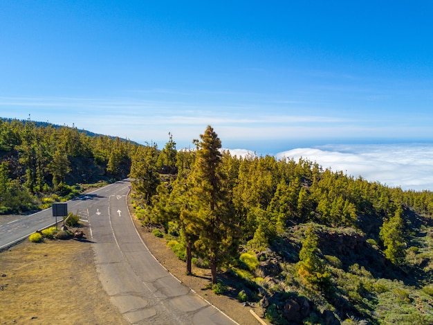 Aerial view of an empty road with thick vegetation on blue sky background