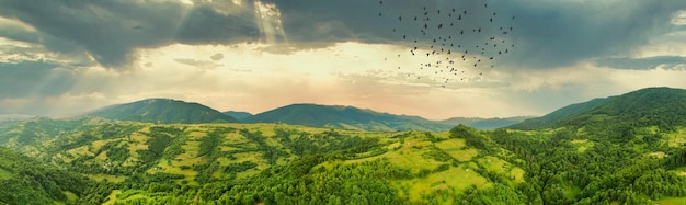 Aerial view of the endless lush pastures of the Carpathian expanses and agricultural land Cultivated agricultural field Rural mountain landscape at sunset Ukraine