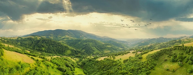 Aerial view of the endless lush pastures of the Carpathian expanses and agricultural land Cultivated agricultural field Rural mountain landscape at sunset Ukraine