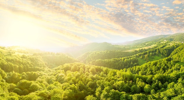 Photo aerial view of the endless lush pastures of the carpathian expanses and agricultural land cultivated agricultural field rural mountain landscape at sunset ukraine