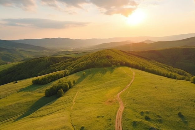 Aerial view of the endless lush pastures of the carpathian expanses and agricultural land cultivated agricultural field rural mountain landscape at sunset ukraine