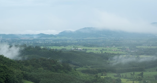 CHIANGRAI의 끝없이 펼쳐진 무성한 목초지의 공중 전망 Mae Ngoen Subdistrict Chiang Saen District의 전망 Chiang Rai