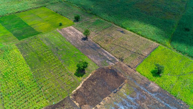 Aerial view of endless lush pastures and farmlands of morogoro town tanzania