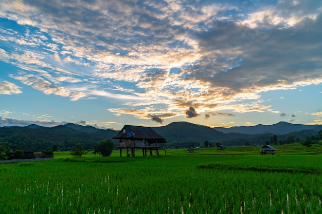 タイ北部の野原に小屋がある緑の田んぼの上の夕方の空の空撮