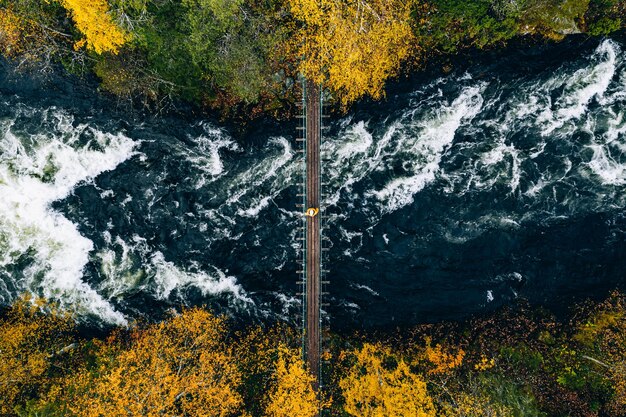 フィンランドの美しい秋の風景と橋のある秋の森と青い川の空撮