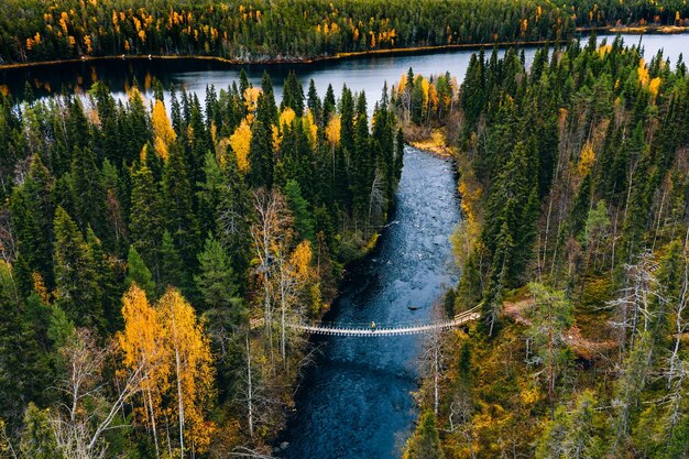 Aerial view of fall forest and blue river with bridge in Finland Beautiful autumn landscape