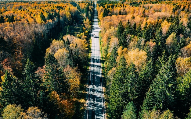 黄色と赤の葉と秋の森を通る秋の道路と車の航空写真