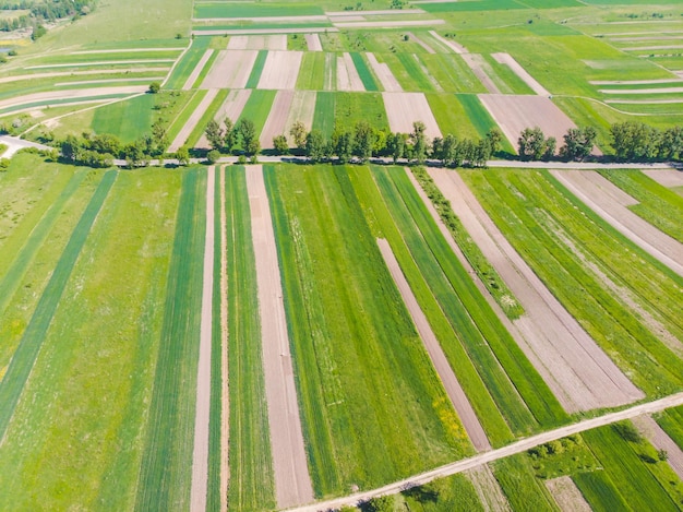 Aerial view of farming fields