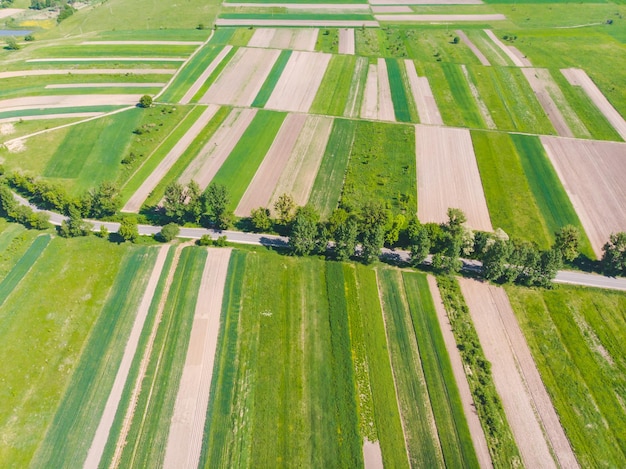 Aerial view of farming fields