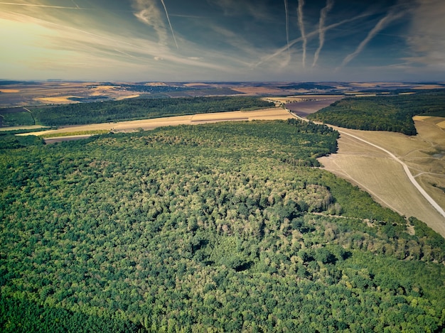 Aerial view of farms fields summer landscape. Village Aerial View.