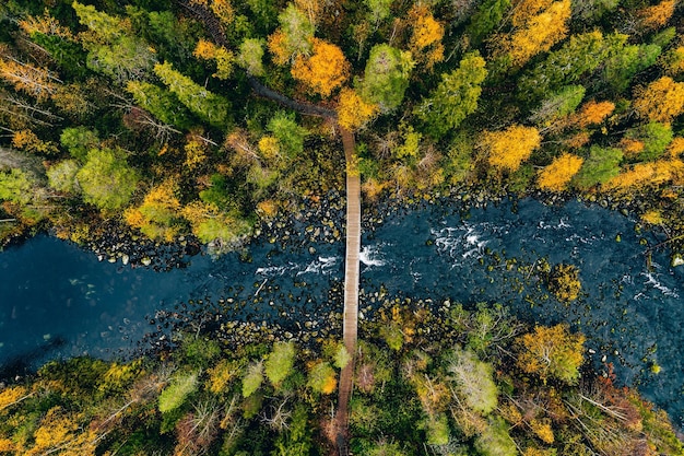 Aerial view of fast river flow through the rocks and colorful forest Autumn in Finland Oulanka national park