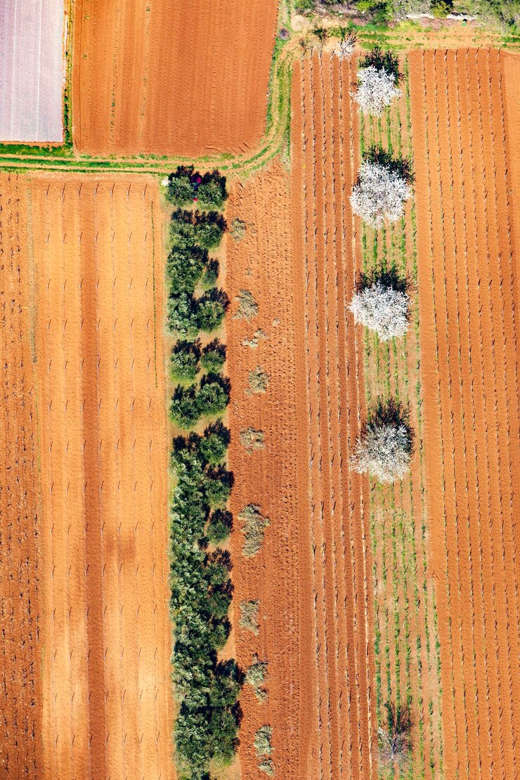 Photo aerial view of fertile fields in zadar region near adriatic coast
