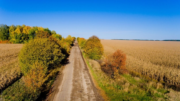 Aerial view of the field autumn road