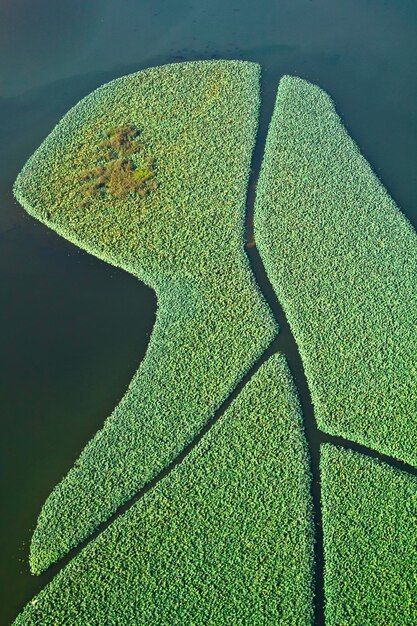 Aerial view of field by sea