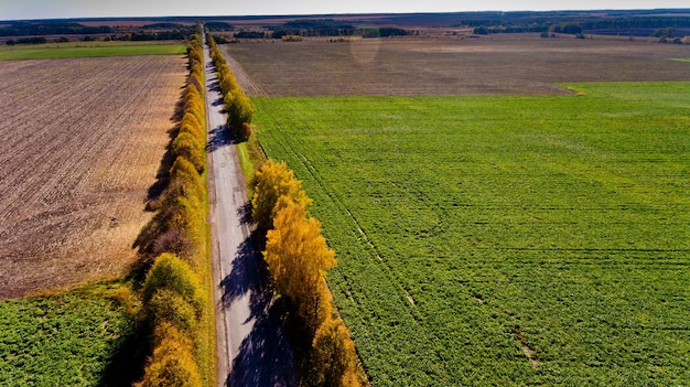 Veduta aerea della strada campestre