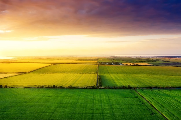 Aerial view on the field during sunset Landscape from drone Agricultural landscape from air Agriculture image