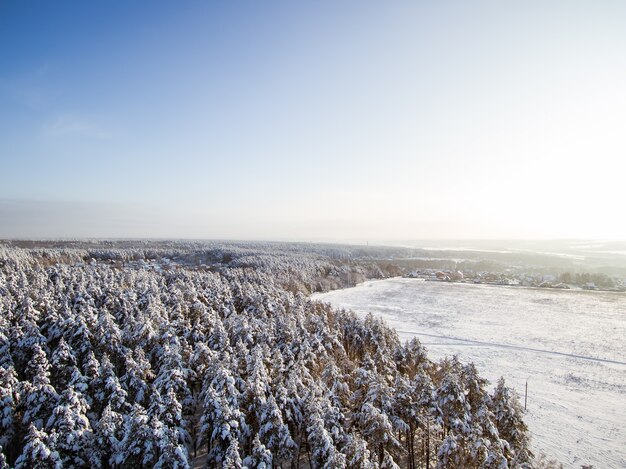 Aerial view on field and winter forest in snow Village roofs after snowfall Birds eye from drone
