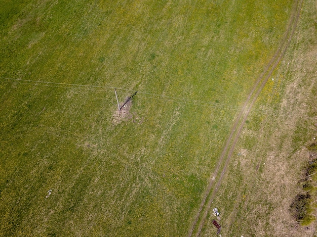 Aerial view of the field with green grass and yellow dandelions without people and garbage