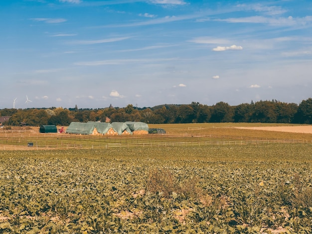 An aerial view of fields during a drought