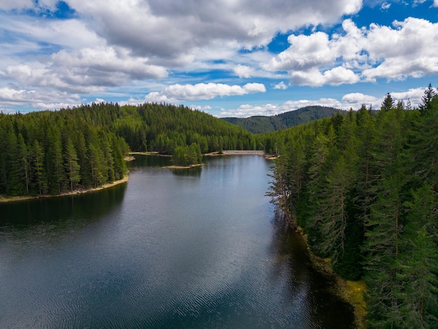 불가리아 로도피 산맥(Rhodope Mountains of Bulgaria)의 빅 레이크(Big Lake) 근처에 있는 전나무 숲의 조감도는 무성한 녹지와 맑은 바닷물에 대한 놀라운 전망을 제공합니다.