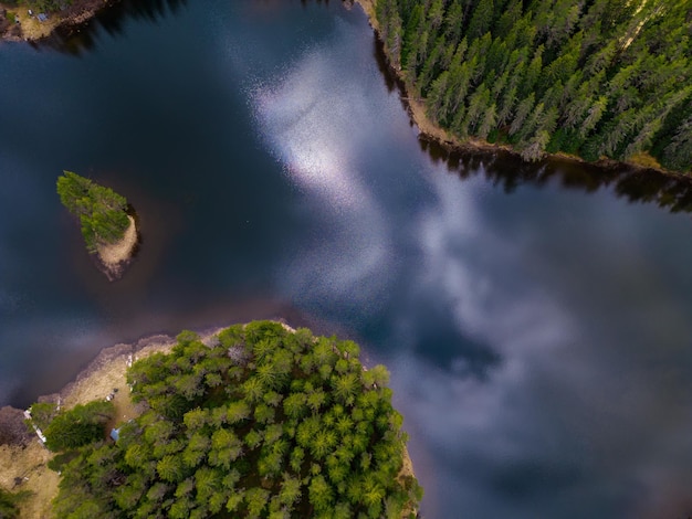 An aerial view of the fir forest near the Big Lake in the Rhodope Mountains of Bulgaria offers a stunning perspective on the lush greenery and crystalclear waters