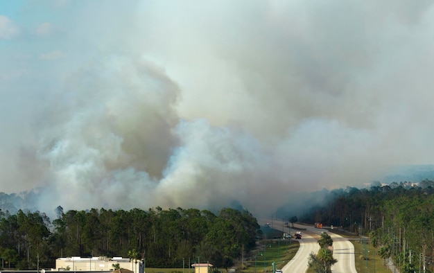 フロリダのジャングルの森で激しく燃えている山火事を消火する消防署の消防車の空撮 森林の炎を鎮火しようとする救急隊員の消防士