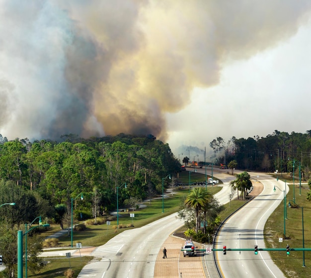 Foto vista aerea dei vigili del fuoco dei vigili del fuoco che estinguono gli incendi che bruciano gravemente nei boschi della giungla della florida vigili del fuoco del servizio di emergenza che cercano di spegnere le fiamme nella foresta