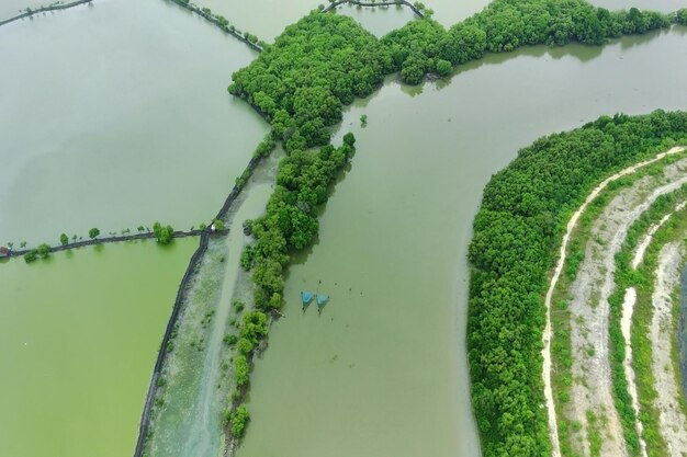 Foto vista aerea di un allevamento di pesci vicino al fiume bengawan solo gresik indonesia vista dall'alto