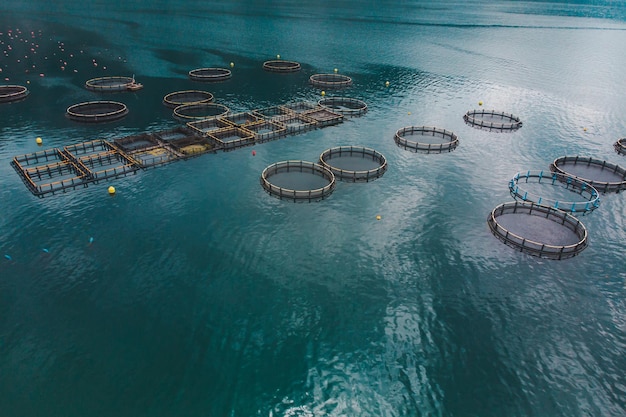 Aerial view of fish farm in sea water summer time