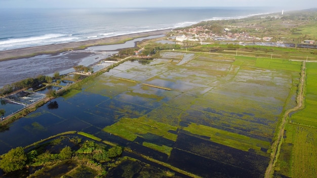 Photo aerial view of flooded rice fields