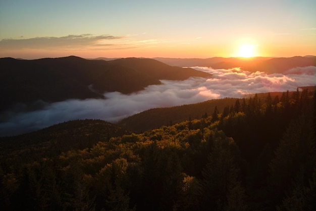 Aerial view of foggy evening over dark pine forest trees at bright sunset Amazingl scenery of wild mountain woodland at dusk