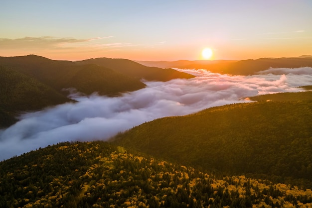 Aerial view of foggy evening over dark pine forest trees at bright sunset Amazingl scenery of wild mountain woodland at dusk