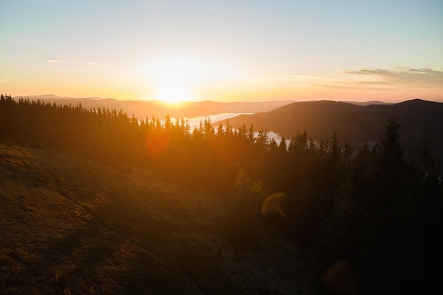 Aerial view of foggy evening over dark pine forest trees at bright sunset Amazingl scenery of wild mountain woodland at dusk