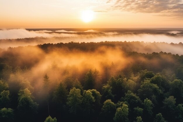 Aerial view of foggy forest AI Generated