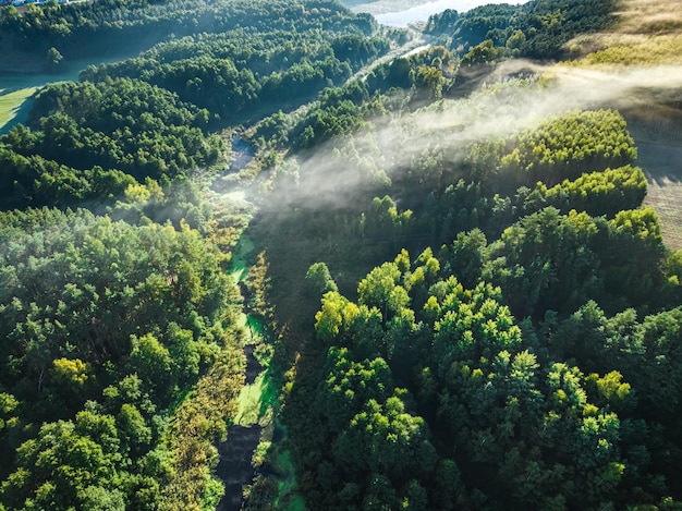 Aerial view of foggy valley with autumn river at sunrise