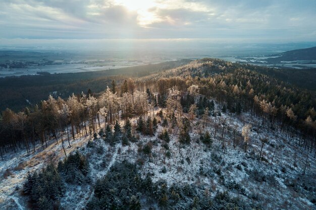 Aerial view of forest covered wirt snow