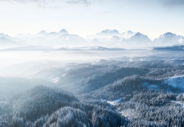 Aerial view on forest and mountains in winter time Natural winter landscape from air Forest under snow in winter time Landscape from drone