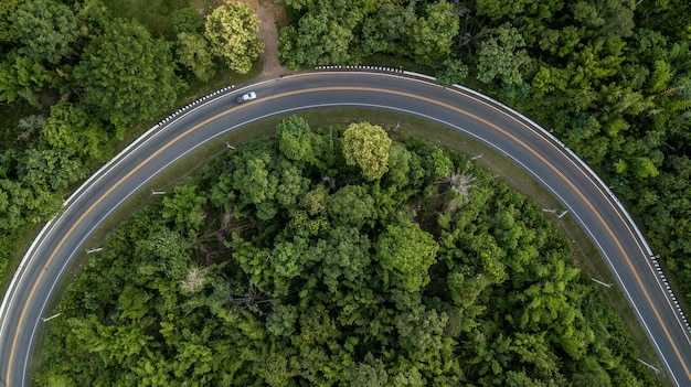 Вид с воздуха на лесной дороге, вид с воздуха на провинциальную дорогу