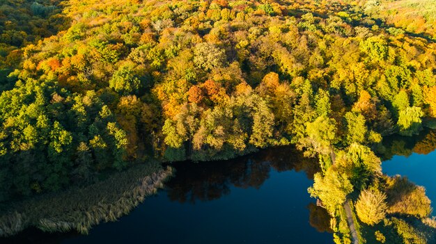 Photo aerial view of forest with yellow trees and beautiful lake landscape from above, kiev, goloseevo forest, ukraine