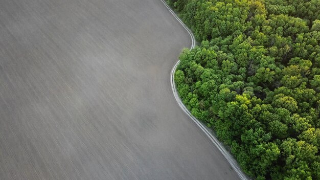 Aerial view from the drone a birds eye view to the forest with green spaces and agricultural field