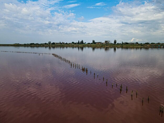 Aerial view from a drone on a pink lake outdoor