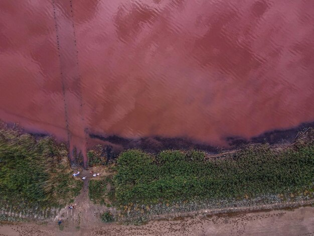 Aerial view from a drone on a pink lake outdoor