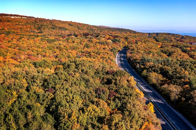 Aerial view from a drone over road between autumn trees in the forest