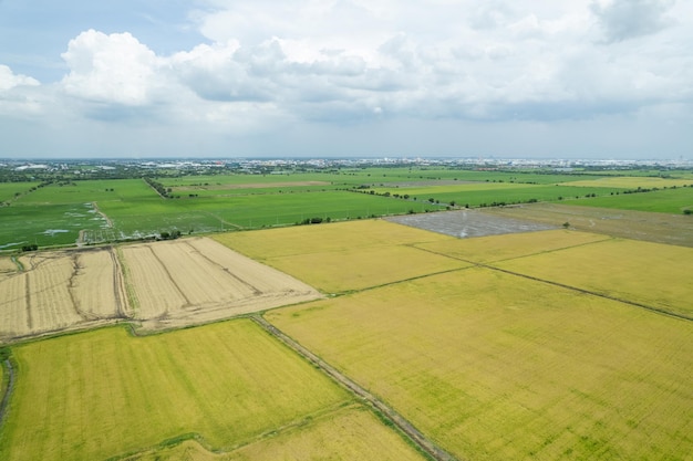 Aerial view from flying drone of Field rice with landscape green pattern nature background top view field rice