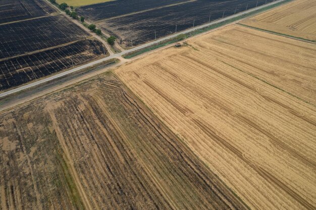 Aerial view from flying drone of Field rice with landscape green pattern nature background top view field rice