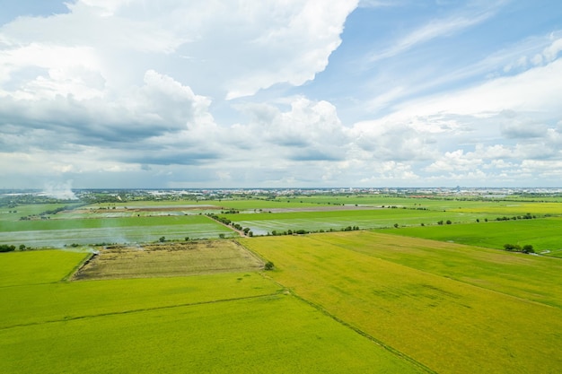 Aerial view from flying drone of Field rice with landscape green pattern nature background top view field rice