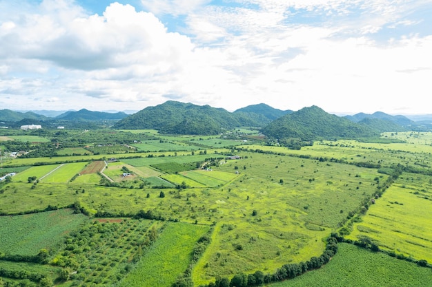 Aerial view from flying drone of Field rice with landscape green pattern nature background top view field rice