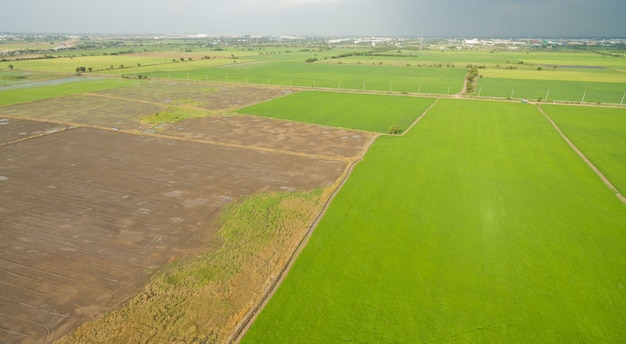 aerial view from flying drone of Field rice with landscape 